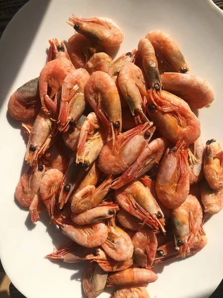 Cooked Shrimp White Plate Macro — Stock Photo, Image