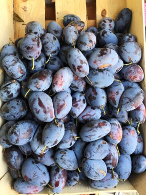 Pazarda olgun mor erikler.