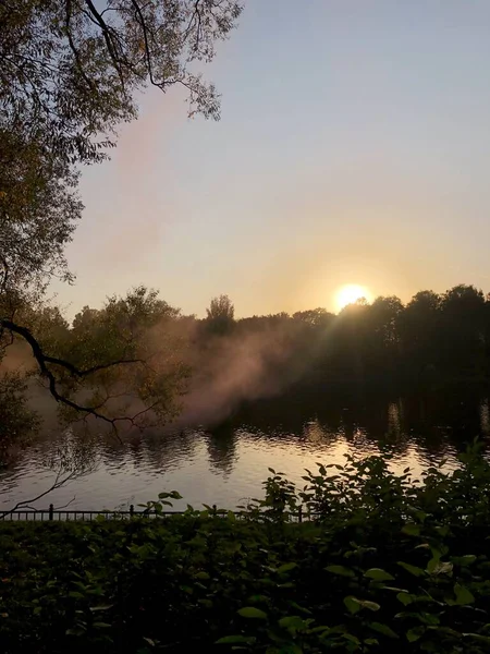 Schöne Landschaft Aus Herbstbäumen Wald — Stockfoto