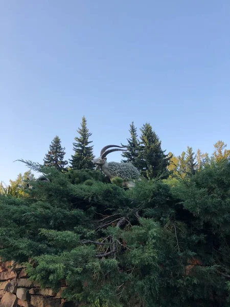 Statue Une Chèvre Montagne Sur Une Colline — Photo