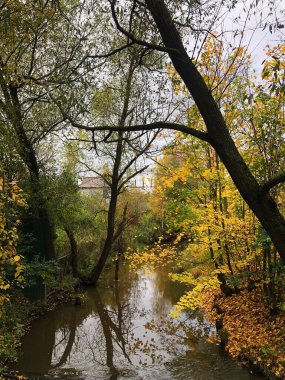 Güzel bir sonbahar manzarası, ağaçlar ve dereler. 