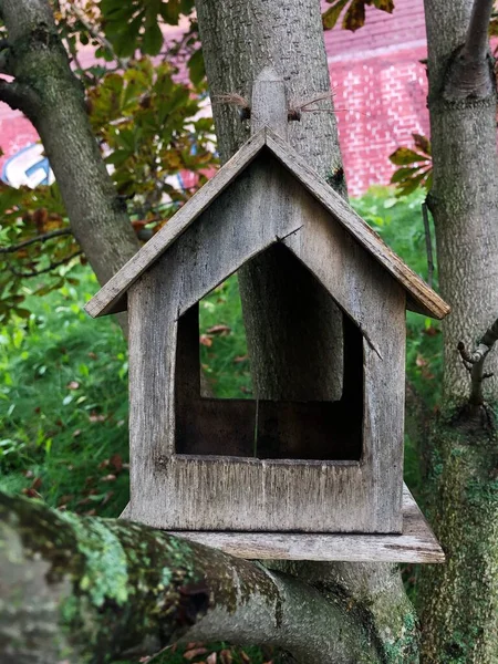 Schöne Leere Hölzerne Vogelfutterstelle Aus Nächster Nähe — Stockfoto