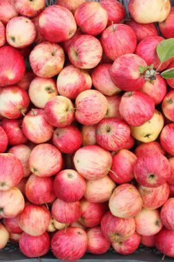 Pazarda lezzetli pembe elmalar.