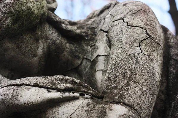 墓葬中美丽的大理石雕像 — 图库照片