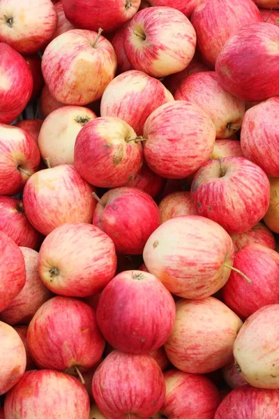 Вкусные Розовые Яблоки Рынке Макросов — стоковое фото