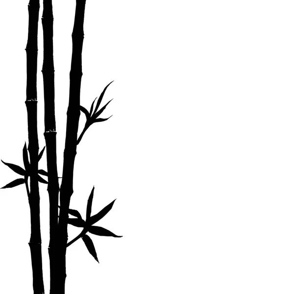 白色背景下的竹子茎和叶子的黑色剪影 手绘植物插图以空间为文本 — 图库照片
