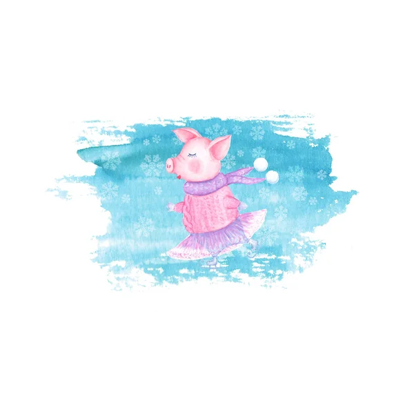 水色溜冰猪在针织毛衣 Tutu 和围巾隔离在蓝色的茶色污渍背景 中国的猪年 圣诞节和新年假期贺卡概念 — 图库照片