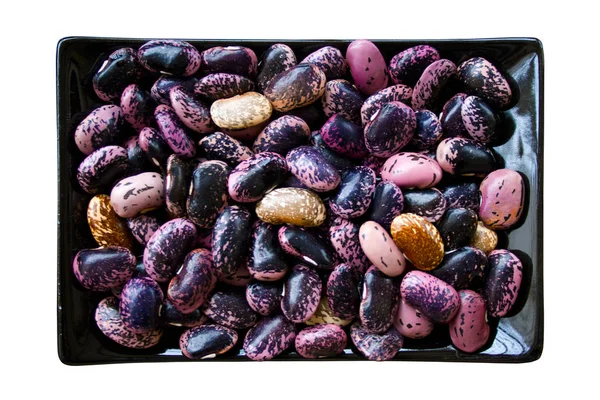 사각형 배경에 고립에서 라이프 스타일 채식주의 유기농 화려한 보라색 콩입니다 — 스톡 사진