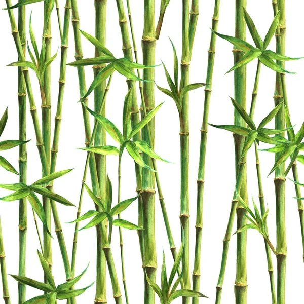 竹水的茎和叶无缝的图案在白色背景 水彩画画绿色植物纹理插图 纺织品 包装印刷 — 图库照片