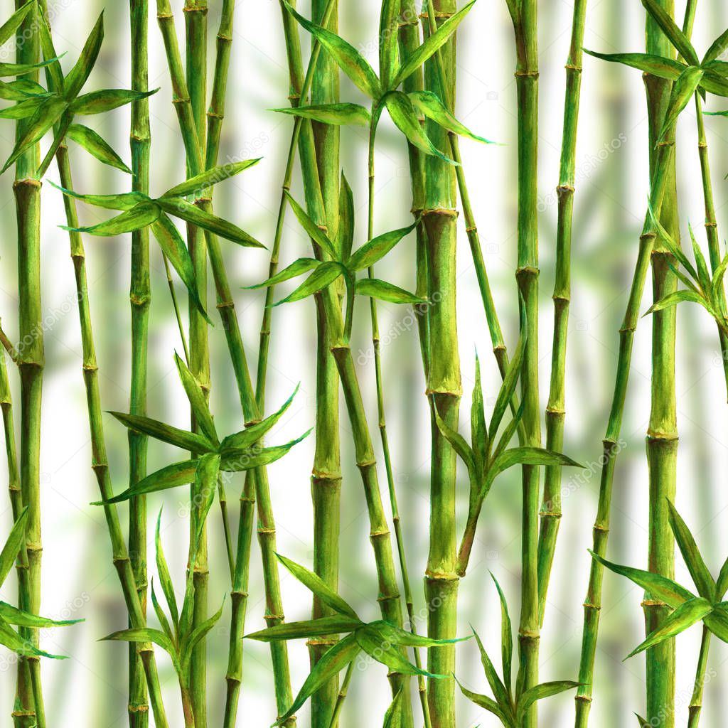 Bamboo watercolor stems and leaves seamless pattern on white background. Watercolour hand drawn green botanical texture illustration. Print for textile, wallpaper, wrapping. Realistic photo effect.