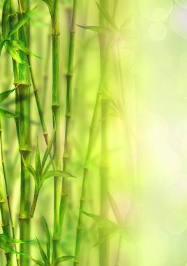Bambu spa dikey arka plan. Suluboya el ile metin için yer yeşil botanik resimde çekilmiş. Suluboya bambu bitki Çin oryantal tasarımı. Bulanık güneşli bokeh arka plan üzerinde orman.