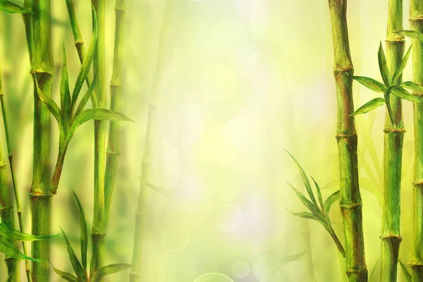 Bamboo Spa Background Watercolor Hand Drawn Green Botanical Illustration Space — Stock Photo, Image