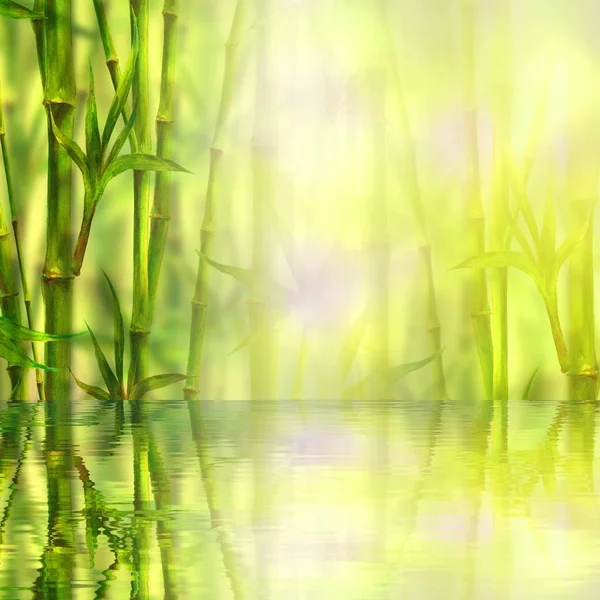 Fondo Spa Bambú Acuarela Dibujada Mano Verde Ilustración Botánica Con — Foto de Stock