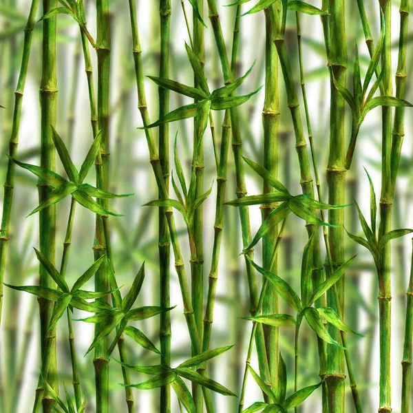 Acquerello Bambù Steli Foglie Modello Senza Soluzione Continuità Sfondo Bianco — Foto Stock