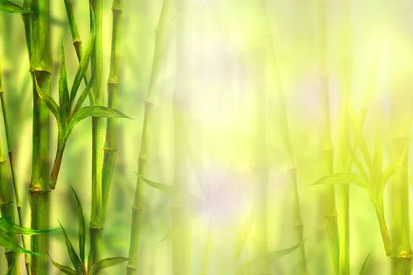 Бамбуковый Спа Фон Акварель Ручной Работы Зеленый Ботанический Рисунок Пространством — стоковое фото