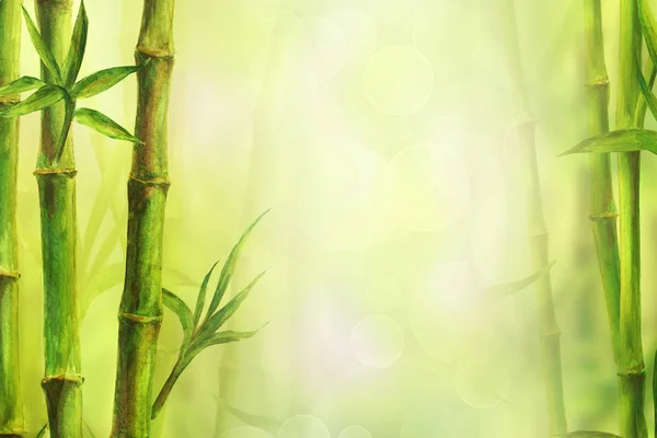 Bamboo Spa Background Watercolor Hand Drawn Green Botanical Illustration Space — Stock Photo, Image