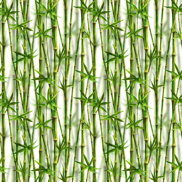 竹水的茎和叶无缝的图案在白色背景 水彩画画绿色植物纹理插图 印刷纺织品 逼真的照片效果 — 图库照片