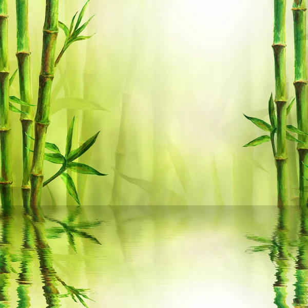 Spa Background Green Bamboo Plants Watercolor Hand Drawn Illustration Space — Stock Photo, Image