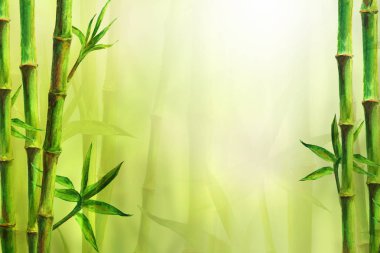 Bambu spa arka plan. Suluboya el ile metin için yer yeşil botanik resimde çekilmiş. Suluboya bambu bitki Çin oryantal tasarımı. Orman kenar çerçevelemek bulanık güneşli bokeh arka plan üzerinde