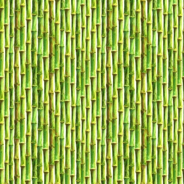 Bambus Wynika Wzór Białym Tle Akwarela Ręcznie Rysowane Zielony Ilustracji — Zdjęcie stockowe