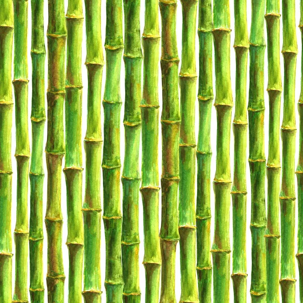 Hastes Bambu Sem Costura Padrão Fundo Branco Aquarela Desenhada Mão — Fotografia de Stock