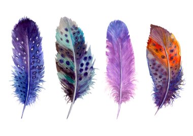 Suluboya tüyler üzerinde izole beyaz ayarlayın. El suluboya kuş tüyü canlı boho stil parlak resimde çekilmiş. T-shirtler, davet, düğün kartı için baskı tasarımı.