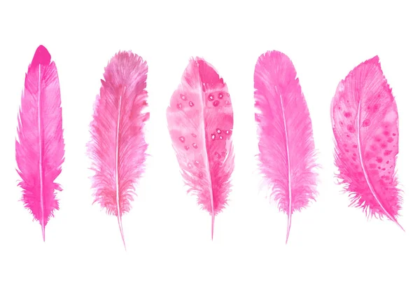 Akvarell Rosa Fjädrar Uppsättning Isolerade Vitt Hand Dras Akvarell Fågel — Stockfoto