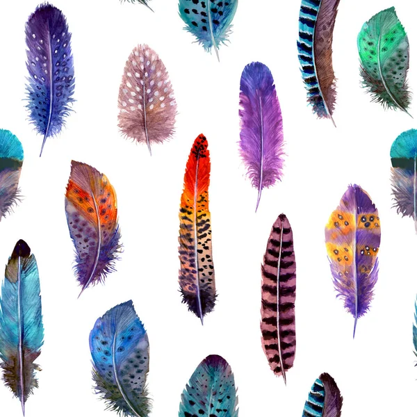 Hand drawn watercolour bird feathers vibrant bright seamless pattern illustration.