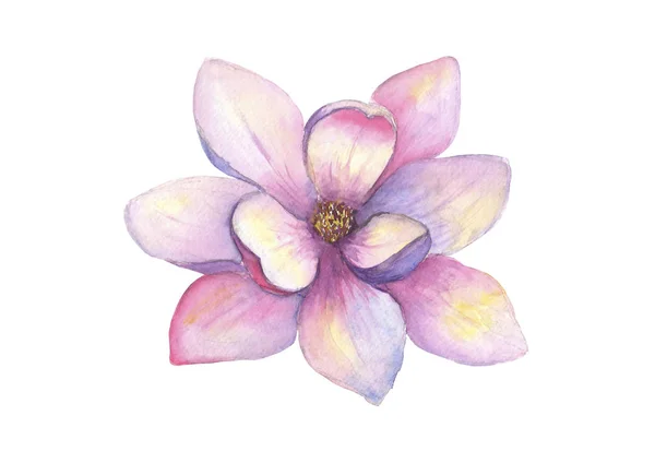 Aquarela bela flor de magnólia isolada no fundo branco. Mola aquarela ilustração botânica elegante — Fotografia de Stock
