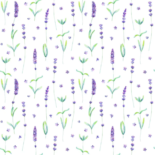 Lavender flowers, leaves and branches watercolor seamless pattern on white background — Stock Photo, Image