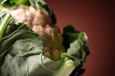 Kahverengi arka planda taze karnabahar