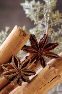 Cinnamon with star anise clipart