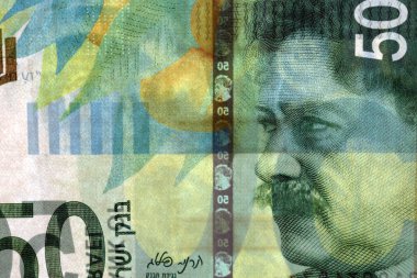 İsrail'in yeni şekel para birimi