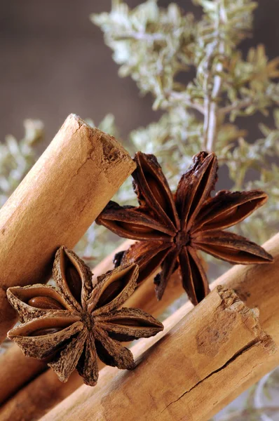 Canela Con Anís Estrellado —  Fotos de Stock