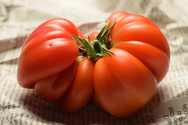 Beefsteak tomato is one of the largest varieties of cultivated tomatoes