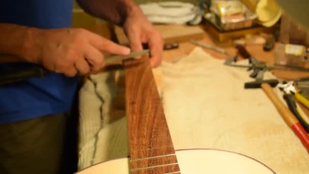 Luthier Working Guitar — Stock Video