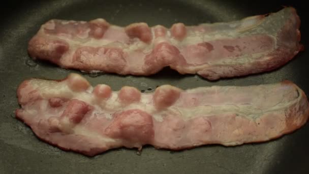 Matlagning Bacon Pannan — Stockvideo