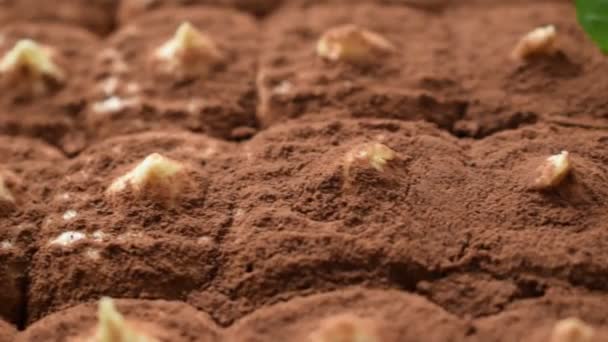 Primer Plano Del Tiramisú Paquete — Vídeo de stock