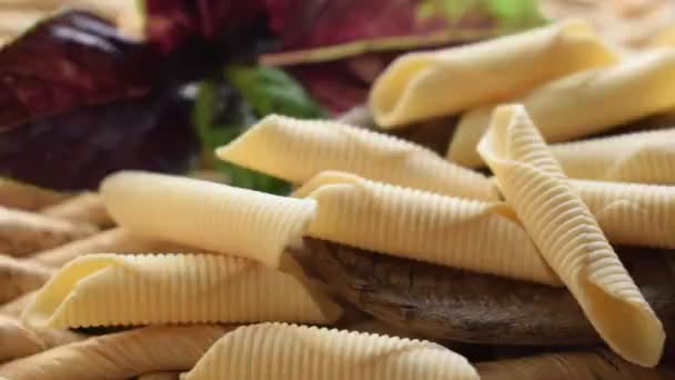 Primer Plano Garganelli Pasta Italiana Cruda — Vídeo de stock