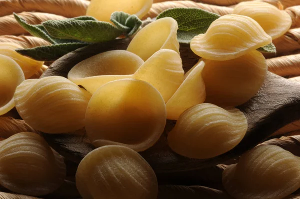 Apulian orkestrası İtalyan çiğ makarnası.