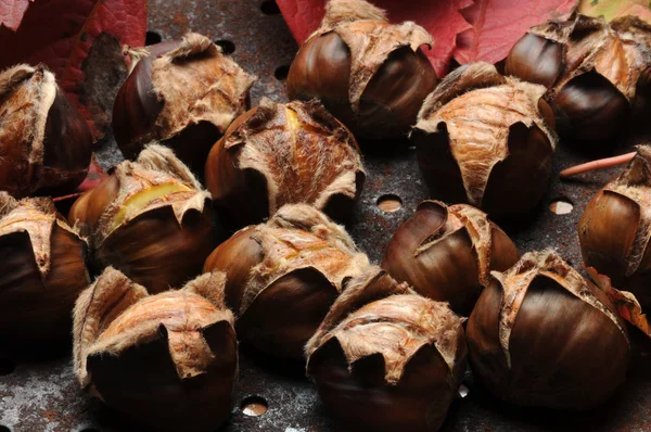 Castagne Arrosto Con Caratteristico Taglio — Foto Stock