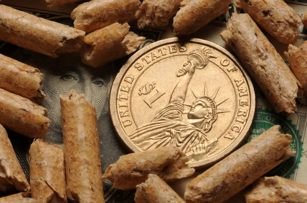 Cerca Nosotros Moneda Con Pellets Madera — Foto de Stock