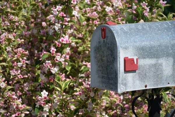 Briefkasten Mit Blumen Frühling — Stockfoto