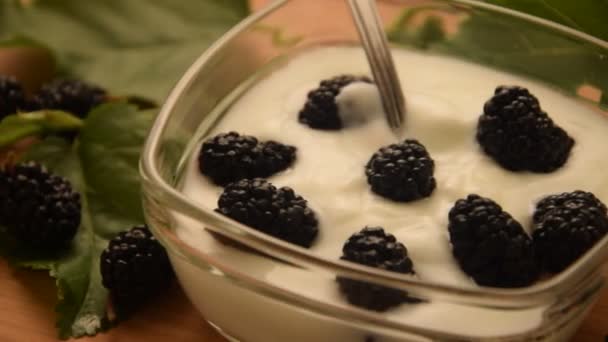 Cup Yogurt Mulberry Blackberries — Stock Video