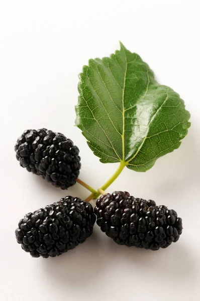 Frutti Gelso Nero Sfondo Bianco — Foto Stock