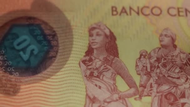 Aus Nächster Nähe Zur Nicaraguanischen Währung — Stockvideo
