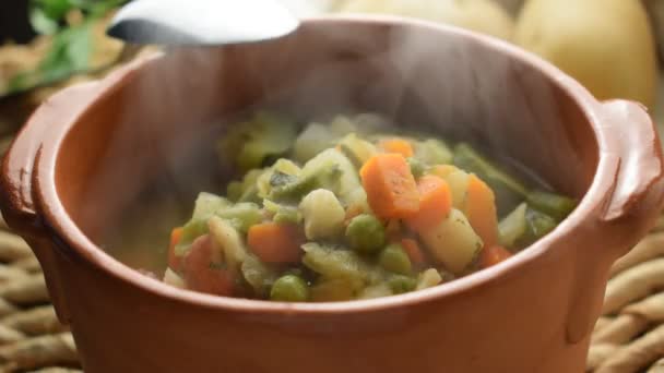 Close Mixed Vegetable Minestrone — Stock Video