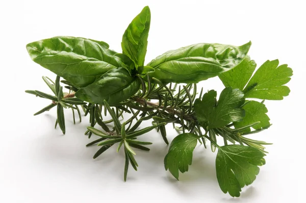 Herbes Fraîches Mélangées Sur Fond Blanc — Photo