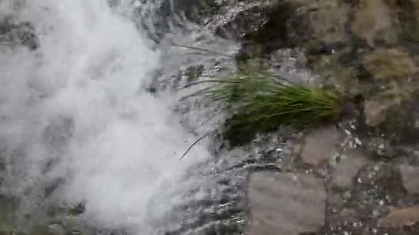 Malý Vodopád Horském Potoku — Stock video