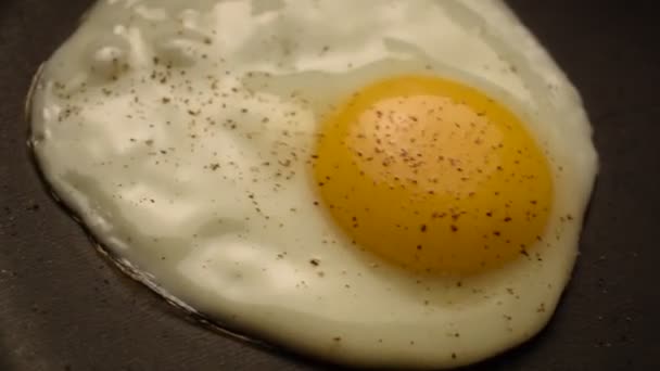 Cooked Egg Pan — Stock Video